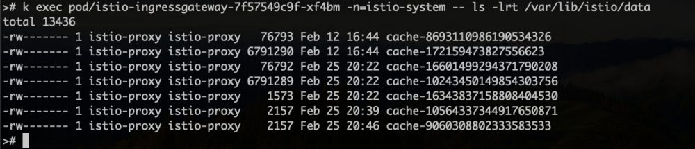 verify istio disk cache is working fine
